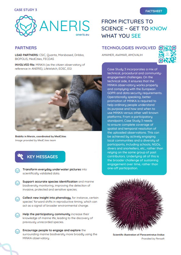 Case study 3 Factsheet