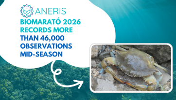 BioMARató 2026 is in its mid-season, recording more than 46,000 observations