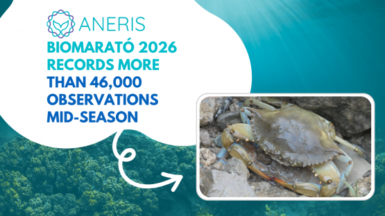 BioMARató 2026 is in its mid-season, recording more than 46,000 observations