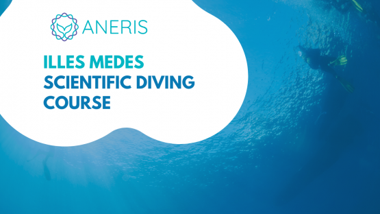ANERIS organised a scientific diving course in the Medes Islands