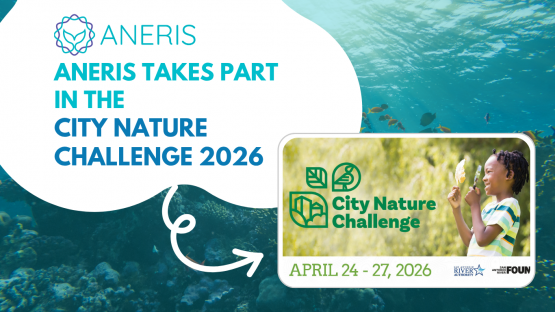 ANERIS takes part in the City Nature Challenge 2026