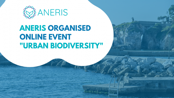 ANERIS organised an online workshop "Urban biodiversity"