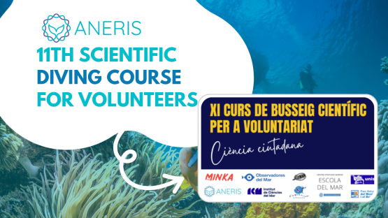 FECDAS is organising the 11th Scientific Diving Course for Volunteers