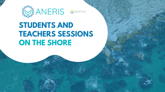 Citizen science with teachers and students in Northern Portugal