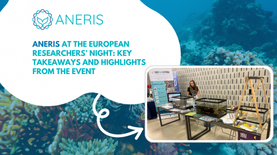 ANERIS participated in the European Researchers' Night 2025: key takeaways and highlights from the event
