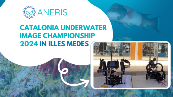 ANERIS takes part in the 2024 edition of the Catalonia Underwater Photography Championship