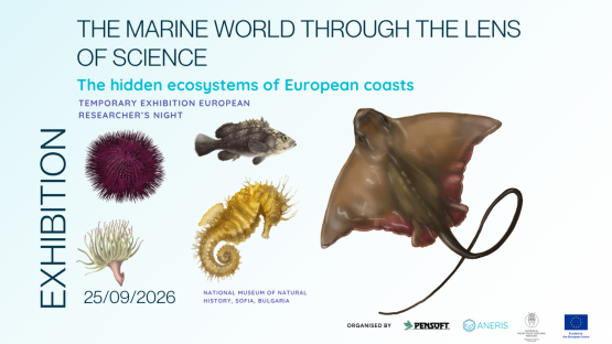 ANERIS exhibition brings the hidden ecosystems of Europe’s coasts to Sofia