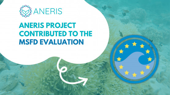 ANERIS project contributed to the MSFD evaluation