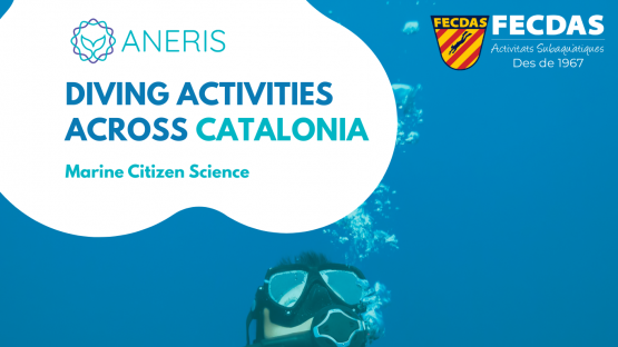 Marine Citizen Science with Diving Activities Across Catalonia