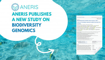 Patella rustica genome and its connection to understanding global warming