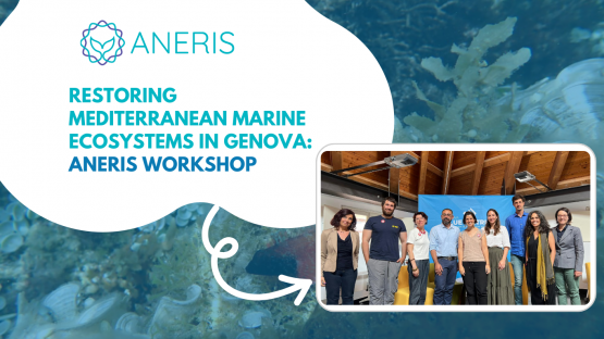 ANERIS consortium members organised a workshop at the Ocean Decade Conference 2024